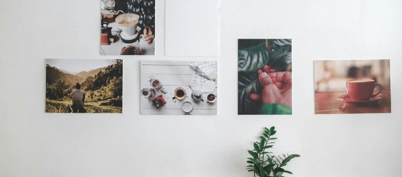 Top Trends in Canvas Art for 2024: What’s In and What’s Out