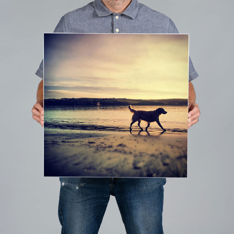 A man from The Canvas Works holds up a square canvas print measuring 50x50cm. The print features a dog walking on the beach in Kinsale. 