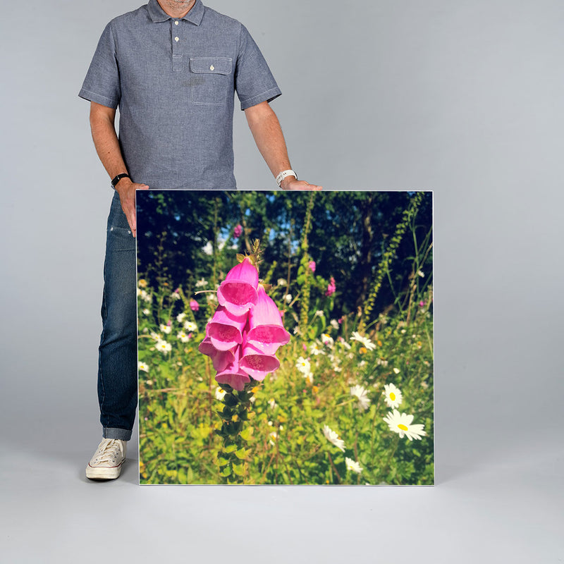 A man wearing a gray polo shirt and jeans holds a large square 90x90cm canvas print featuring a close-up photograph of a pink foxglove flower in a green garden.